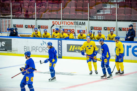 The players of Sweden at a practice session