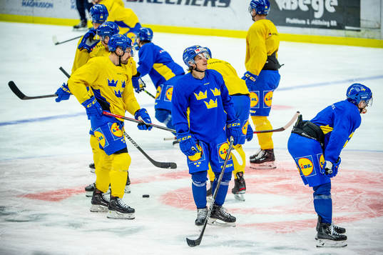 The players of Sweden at a practice session