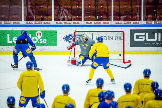 Jacob de la Rose and goalkeeper Lars Johansson of Sweden at
