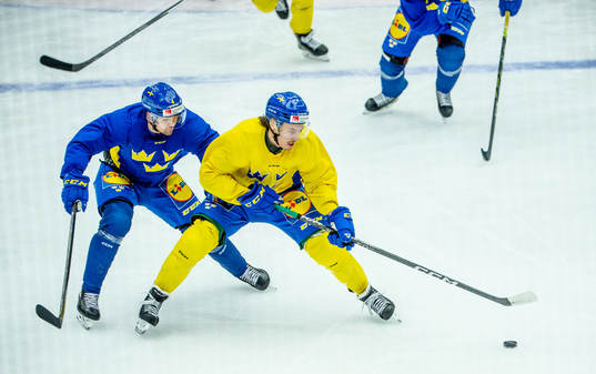 Emil Djuse and Joakim Nygård of Sweden at a practice