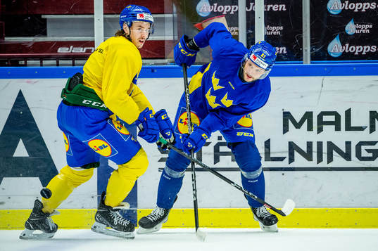 Joakim Nygård and Theodor Lennström of Sweden at a