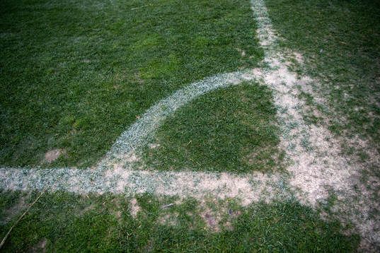 The pitch at Marbella Football Center