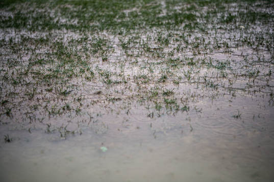 The pitch at Marbella Football Center