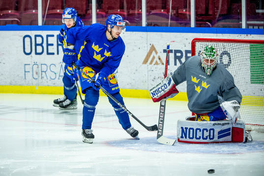 Pär Lindholm and goalkeeper Lars Johansson of Sweden at a