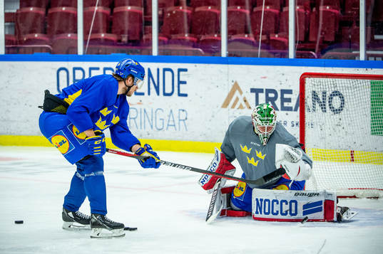 Jacob de la Rose and goalkeeper Lars Johansson of Sweden at