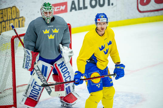 Goalkeeper Lars Johansson and Carl Klingberg of Sweden at a