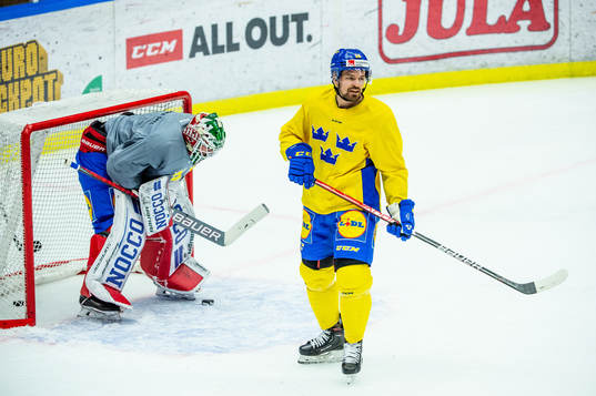 Goalkeeper Lars Johansson and Anton Lander of Sweden at a