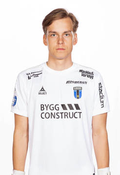Sirius Hannes Sveijer