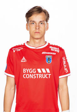 Sirius Hannes Sveijer