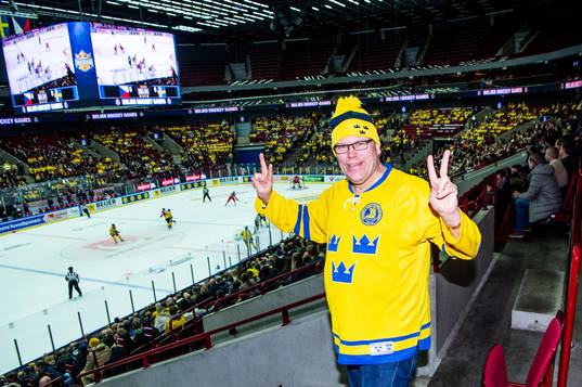 Swedish supporter