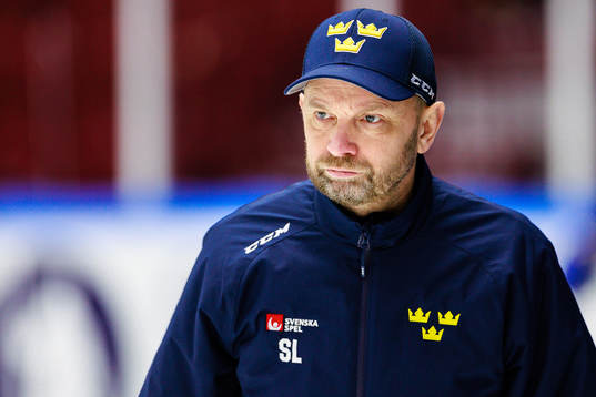 Goalkeeper coach Stefan Ladhe of Sweden at a practice