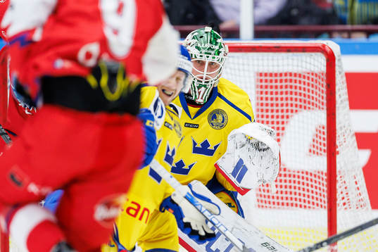 goalkeeper Lars Johansson of Sweden