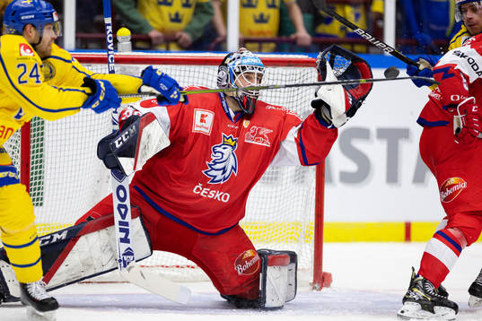 Goaltender Ales Stezka of Czech Republic cduring the Beijer
