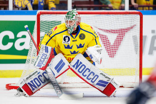 goalkeeper Lars Johansson of Sweden