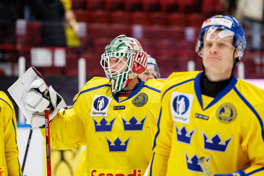 goalkeeper Lars Johansson of Sweden