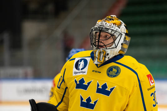 Goalkeeper Alexander Hellnemo of Sweden