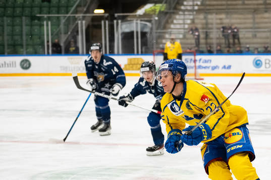 Ludwig Laband of Sweden