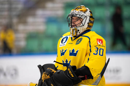 Goalkeeper Alexander Hellnemo of Sweden