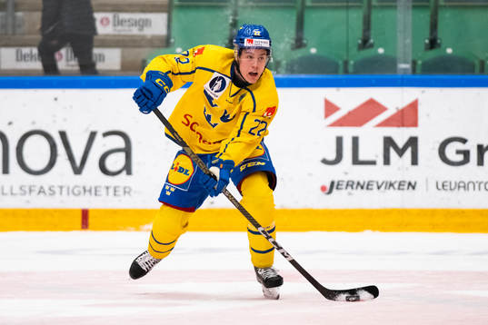 Ludwig Laband of Sweden