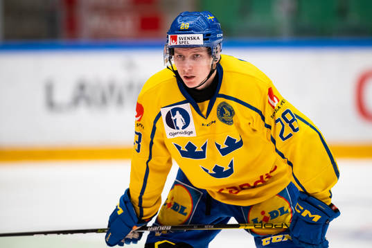 Egor Polin of Sweden