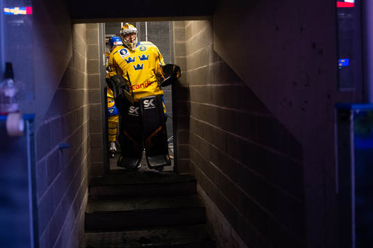 Goalkeeper Alexander Hellnemo of Sweden