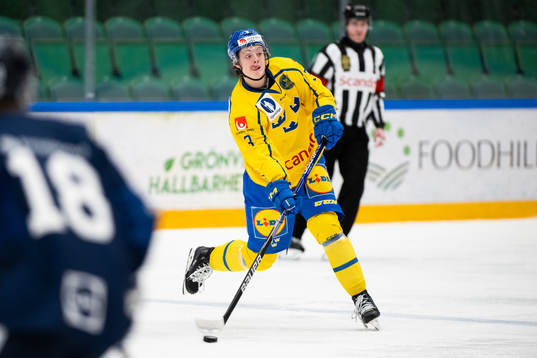 Anton Johansson of Sweden