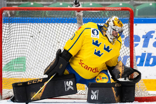 Goalkeeper Alexander Hellnemo of Sweden
