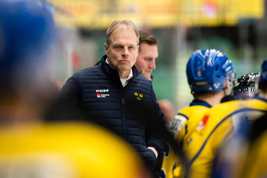 Head coach Magnus Hävelid of Sweden
