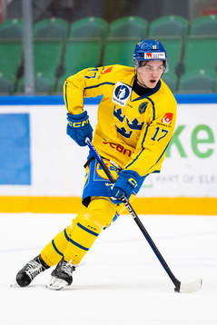 Hannes Hellberg of Sweden