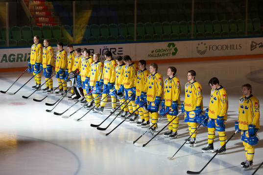 Player of Sweden