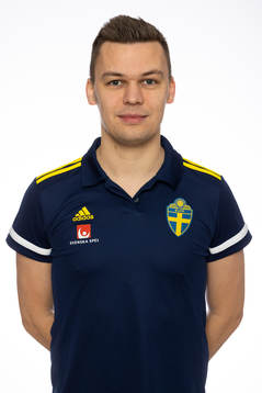 Domare Sebastian Robertsson