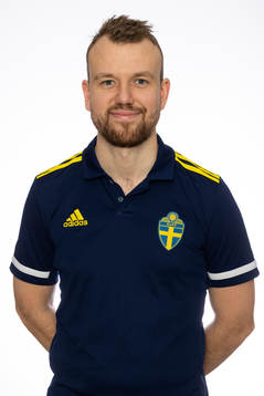 Domare Ajdin Mlivic