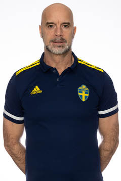 Domare Stefan Johanesson