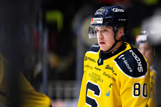 Södertäljes Georgs Golovkovs