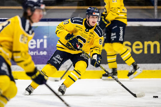 Södertäljes Georgs Golovkovs
