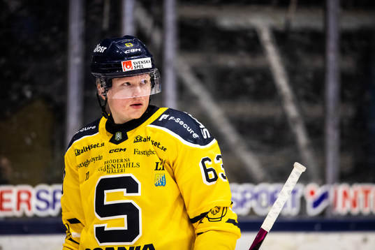 Södertäljes Julius Bergman