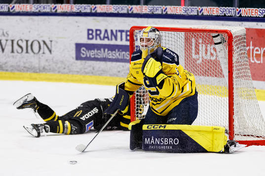 Södertäljes målvakt Nikita Tolopilo jublar