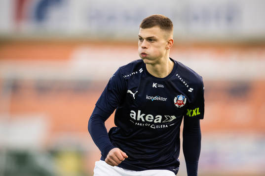 Helsingborgs Erik Ring