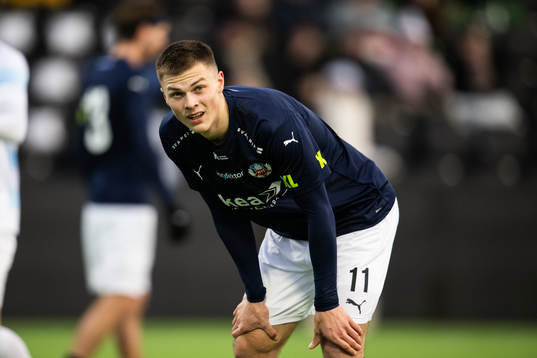 Helsingborgs Erik Ring