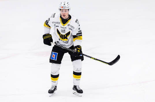 Västerås Ludvig Östman