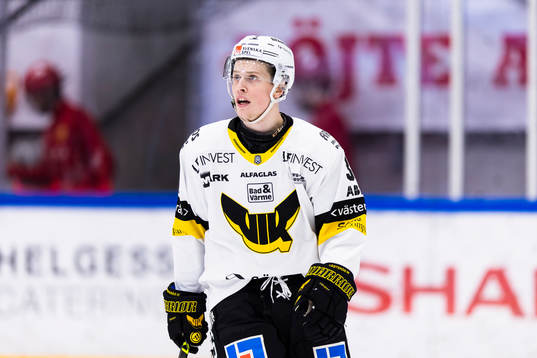 Västerås Ludvig Östman