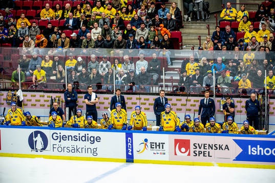 The Swedish team