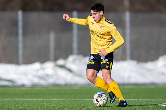 Elfsborgs Dion Rujkovci
