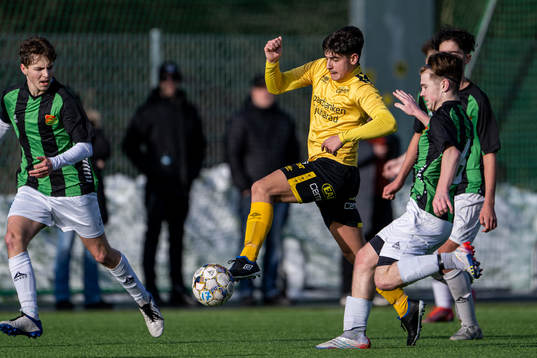 Elfsborgs Dion Rujkovci