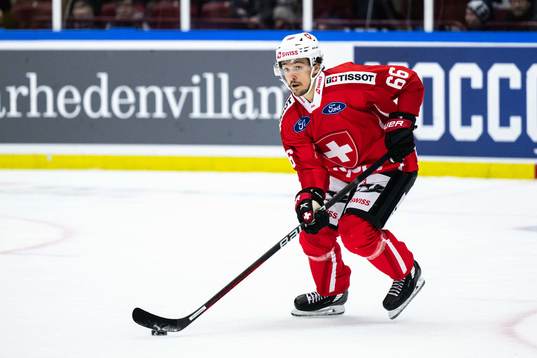 David Aebischer of Switzerland