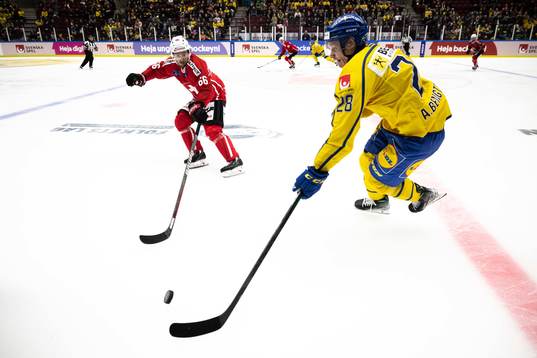 David Aebischer of Switzerland and Anton Bengtsson of Sweden