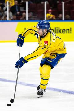 Hardy Häman Aktell of Sweden
