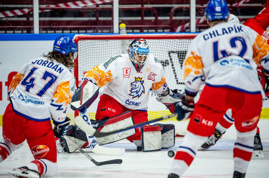 Goaltender Ales Stezka of Czech Republic