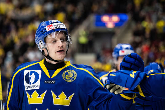Anton Bengtsson of Sweden celebrates