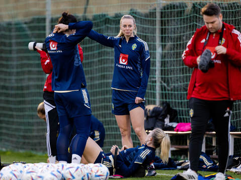 Amanda Ilestedt of the Swedish women's national football